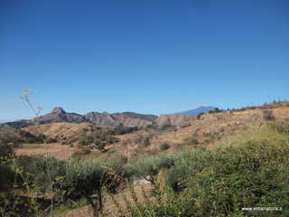 ano Margi-27-08-2014 08-58-40